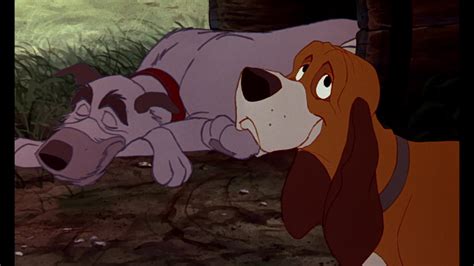 The Fox And The Hound Screenshots Hot Sex Picture