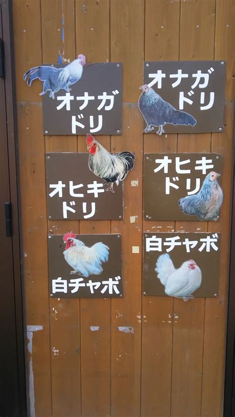 藤村勇太大樹海のモンスターパートナー on Twitter ゴールデンウィーク連日稼働外出不可能 なのでアシスタントさんに円山動物園