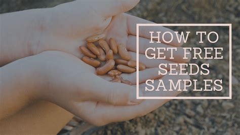 How To Get Free Seeds Samples