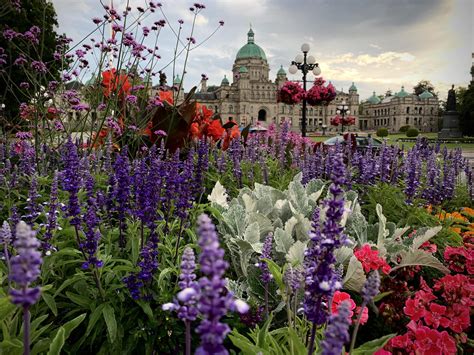 25 Best Things To Do In Victoria Bc Travel Guide
