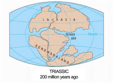 World Map 1 Million Years Ago Pinellas County Elevation Map