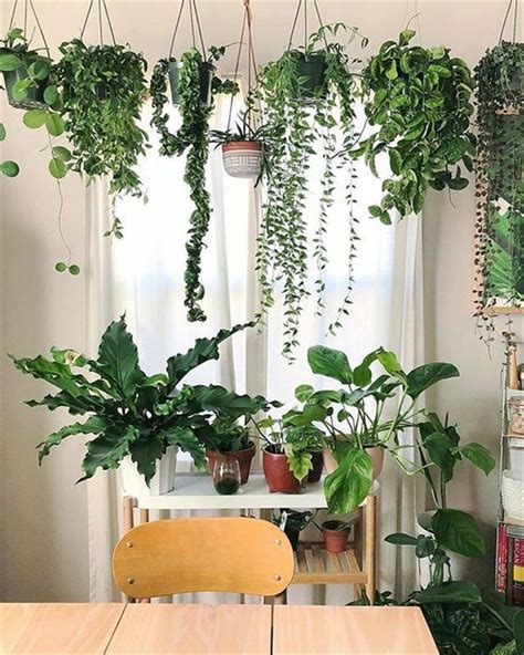 Get it as soon as wed, jul 14. 60 Impressive And Simple Indoor Hanging Plants Ideas For ...