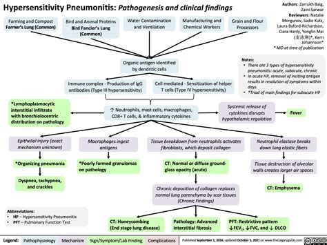 Hypersensitivity Pneumonitis Pathogenesis And Clinical Findings