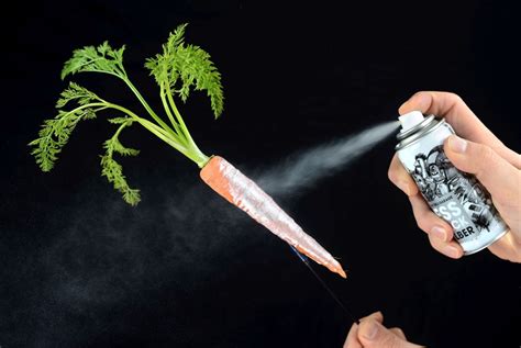 Edible Spray Paint Gives Food A Futuristic Feel Pictures Aerosoles