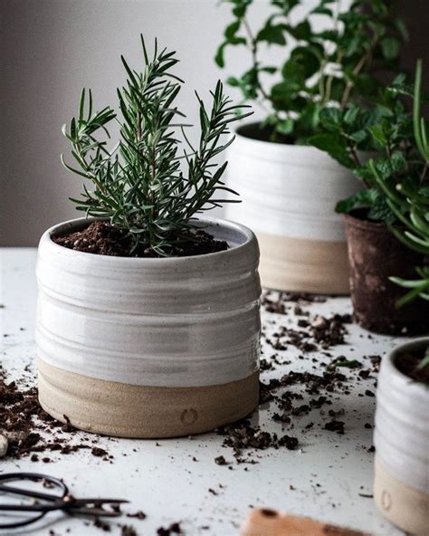 Farmhouse Pottery Trunk Garden Pot In 2020 Pottery Pots Ceramic