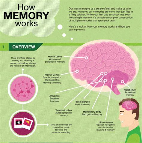 Easy Ways To Improve Your Memory