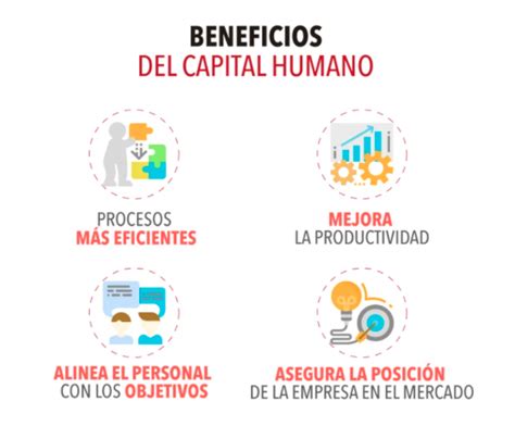 Capital Humano Empresa ¿qué Es Y Cuál Es Su Función Appvizer