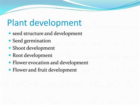 Plant Growth Anddevelopment1 Ppt