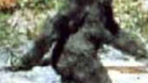 Bigfoot Dna Evidence Shows Its A Human Relative Kmph