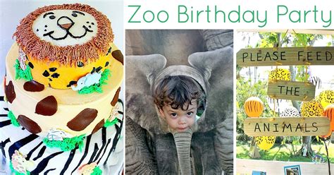 The Complete Guide To The Best Zoo Birthday Party Mamaguru