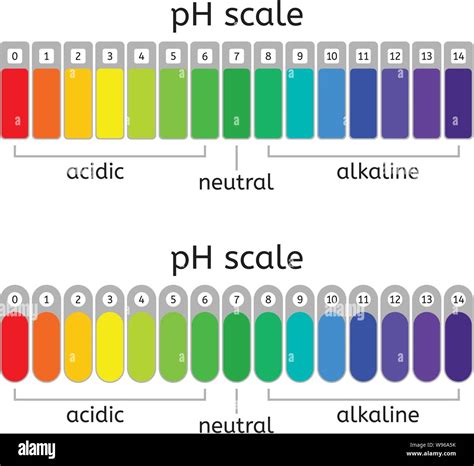 Vector Ph Scale Of Acidicneutral And Alkaline Value Chart For Acid And