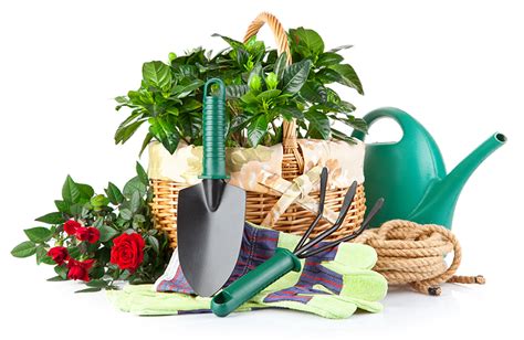 belgian-designers: Lawn And Garden Tools png image
