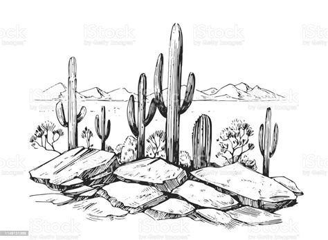 Sketch Of The Desert Of America With Cacti Prairie Landscape Hand Drawn