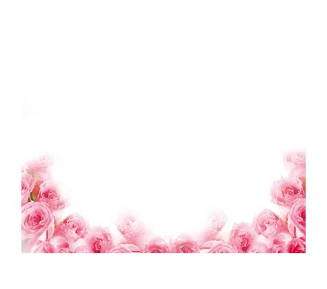 Pink Rose Flower Frame Border Royalty Free Vector Image Images