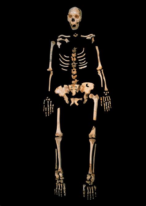 Oldest Human Dna Sequence Yet Confuses Our Picture Of Pre Modern Humans