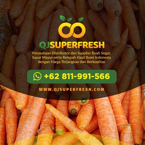 supplier buah segar distributor sayuran buah segar sayuran buah