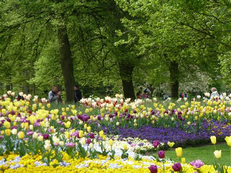 Maybe you would like to learn more about one of these? versailles: Keukenhof, Taman Surga Bunga
