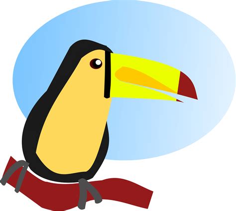 Cartoon Toucan Bird Vector Vector Animal Free Clipartix