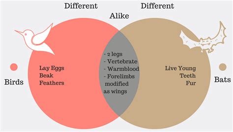 venn diagram examples problems solutions formula explanation 2022