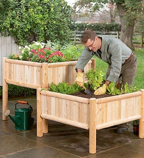 138 Container Gardening Patio Small Spaces Vegetable Garden Raised