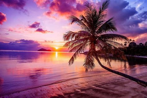 Tropical Sunset Ocean Sunset Tropics Reflection Palms Sea Romantic Bonito Hd Wallpaper