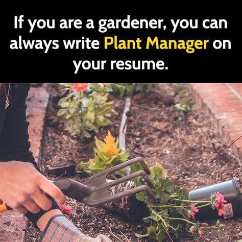 25 Funny Gardening Memes For Everyone Who Loves Plants Bouncy Mustard