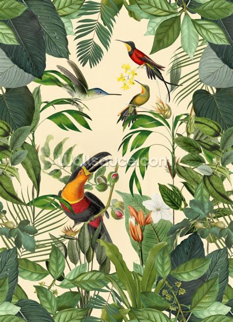 Bird Wallpaper Print Wallpaper Wallpaper Companies Tropical Birds