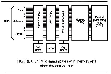A bus is the means of shared transmission. computer architecture | Barrons Dictionary | AllBusiness.com
