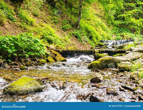 Mountain River With Cascades In The Forest Stock Image Image Of