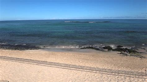 Laniakea Beach Oahu Hawaii Youtube