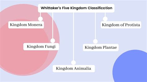 Whittaker S Five Kingdom Classification Criteria Advantages And Limitations