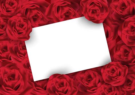 Valentines Day Rose Background With White Blank Card 692571 Vector Art