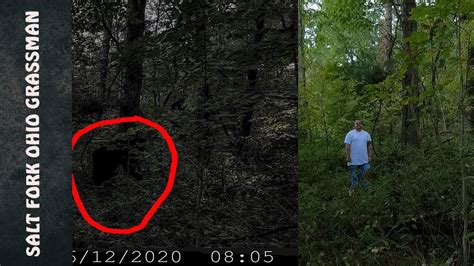 Bigfoot Sasquatch Ohio Grassman Caught On Trail Camera Youtube