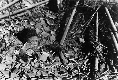 33 Disturbing Photographs From The Second Sino Japanese War