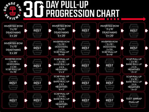The Ultimate 30 Day Pull Up Progression 2023 Garage Gym Reviews