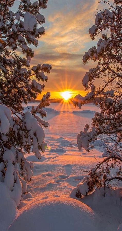 Winter Pictures Nature Pictures Cool Pictures Winter Sunset Winter