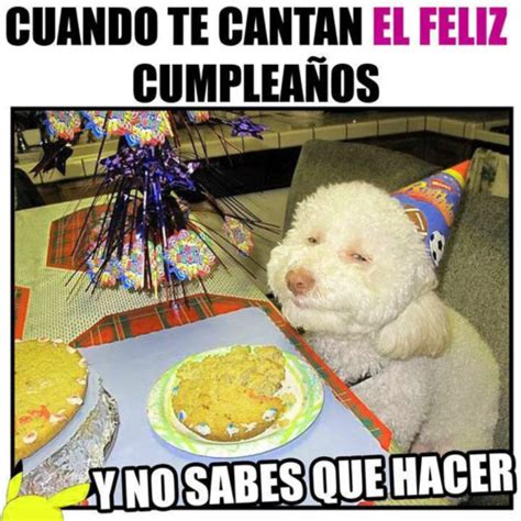 40 Imágenes Divertidas De Feliz CumpleaÑos Con Frases Para Whatsapp