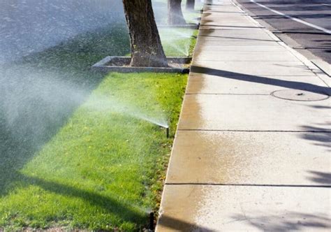 6 Simple Steps To Adjust Rain Bird 5000 Sprinkler Heads