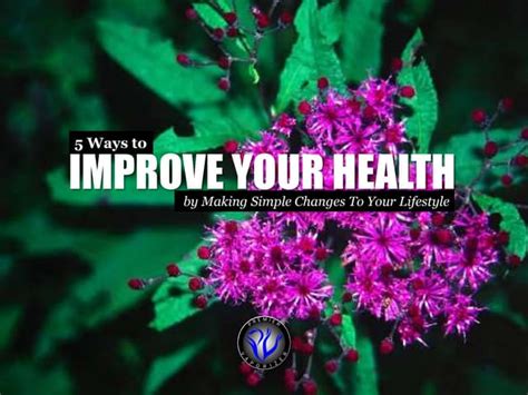 5 Ways To Improve Your Health By Making Simple Changes To Your