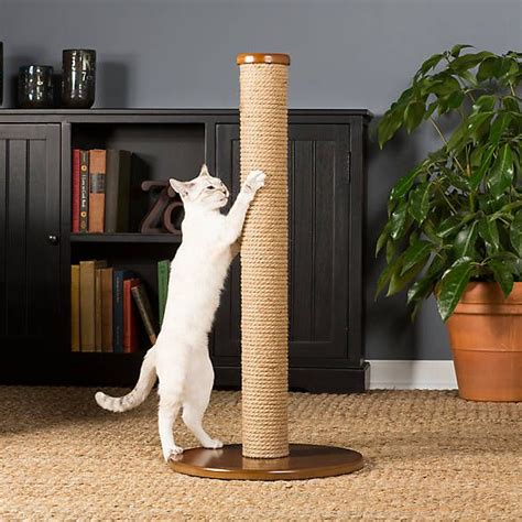Prevue Pet Kitty Power Paws Round Cat Scratcher In 2021 Cat