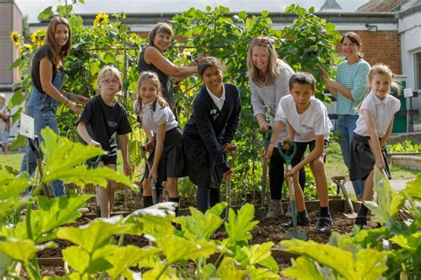 Rhs School Gardening Awards Rhs Campaign For School Gardening