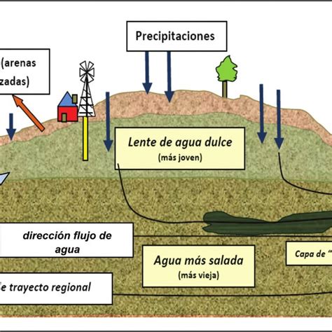 Distribución De La Conductividad Eléctrica Del Agua Del Acuífero Libre