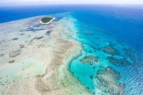 Great Barrier Reef Goway