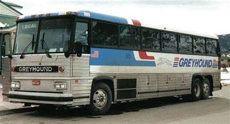 Greyhound Bus Buses For Sale New Flyer Bus Line Bus Coach