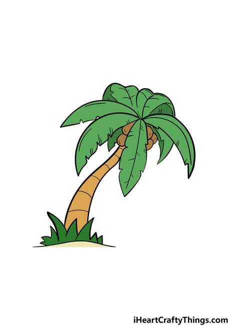 Palm Tree Drawing How To Draw A Palm Tree Step By Step