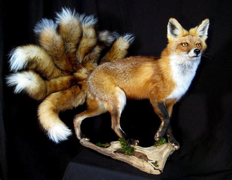 nine tailed fox kyuubi no kitsune by rcahern on deviantart fox artwork kitsune taxidermy