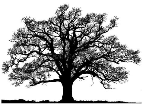 Pin By Katia Silva On The Real Thing Oak Tree Silhouette