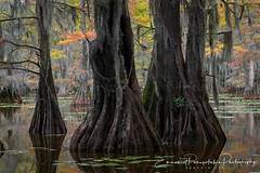 The Silent Sentinels How Muskegons Obituaries Preserve The Citys Soul