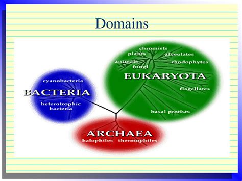 Ppt Classifying Living Organisms Powerpoint Presentation