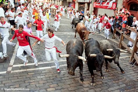 Peta Levels Protest In Opposition To Merciless Bull Runs